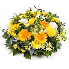  Posy Pad in Yellow &amp; White