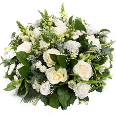  Posy Classic White