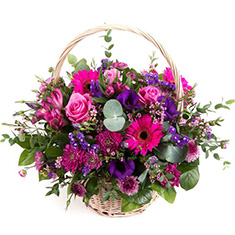  Basket in Pink &amp; Purple