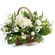 Basket in White