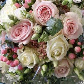 fwthumb20160917_125957.jpg